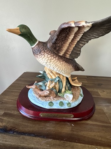 Wellington collection mallard - collection,